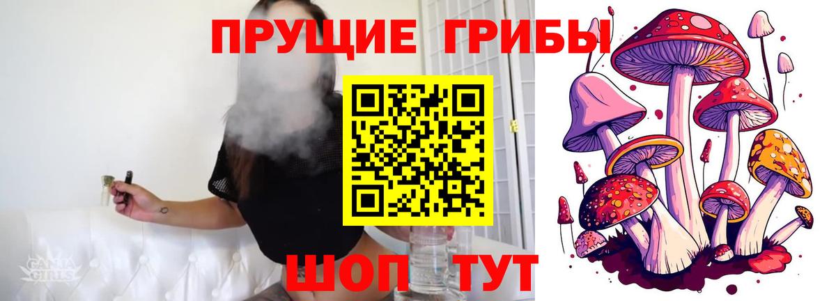 Псилоцибиновые грибы мухоморы Удомля