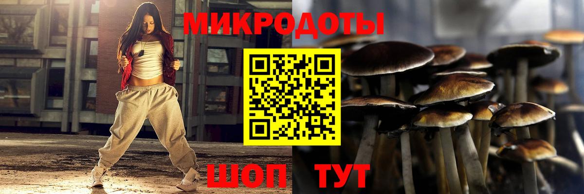 Удомля  Галлюциногенные грибы мицелий  Псилоцибиновые грибы Psilocybine cubensis  Вход с VPN 